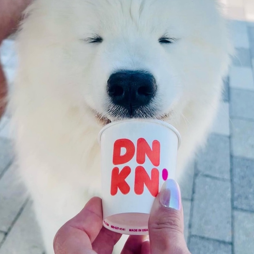 Hi, I’m Jessica 👋 😊